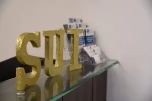 Edin Mandzukic, RCIS